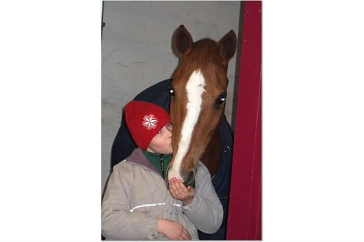 Anden særlig race Umbra Sputnik †Død† - mys til min prins  billede 2