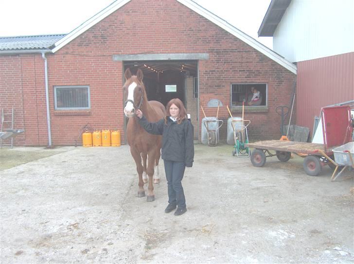 Dansk Varmblod Sheik<3 R.I.P - Mig og Sheik<3 billede 3