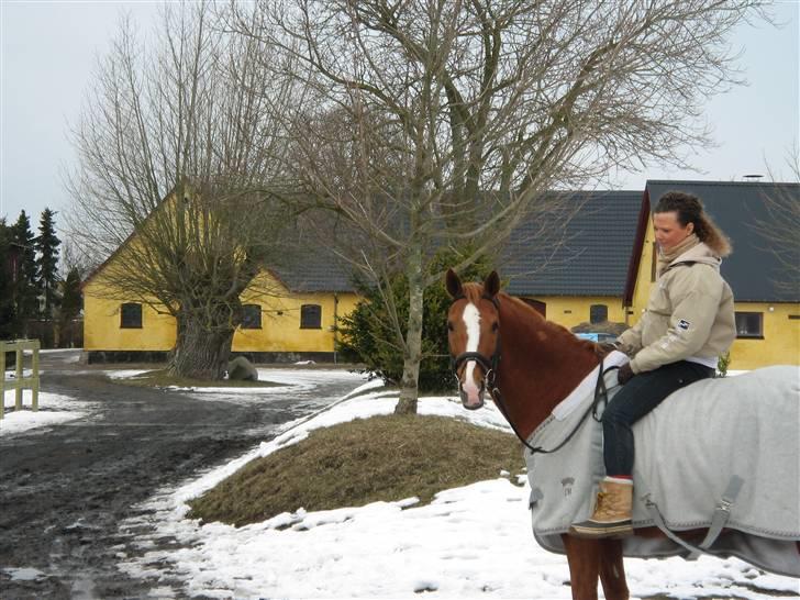 Anden særlig race Umbra Sputnik †Død† billede 7