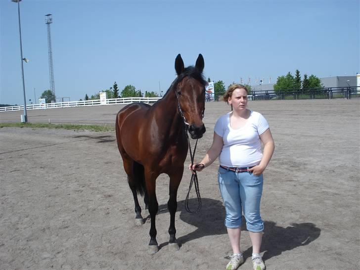 Traver Non Stop M. - Meg og non stop på udstilling*NYT* billede 8