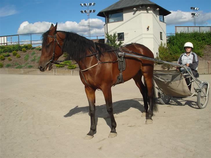 Traver Non Stop M. - mig og non stops siste køretur sammen:( billede 9