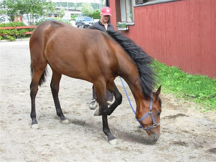 Traver Non Stop M. - nonni 1 år gammel billede 13