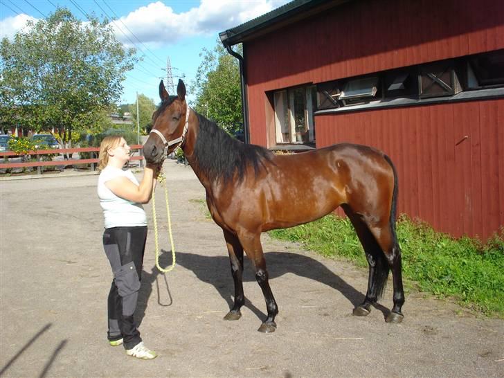 Traver Non Stop M. - ude at trene tempovekslinger sammen med Bobby Brown billede 15