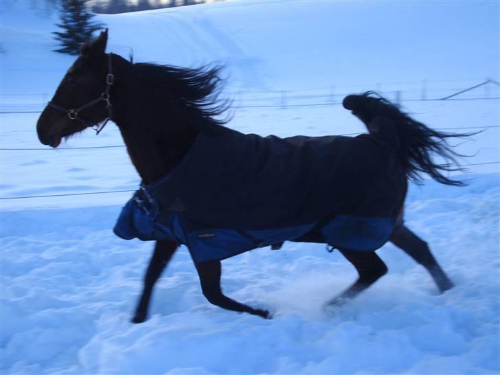 Traver Non Stop M. - elsker det billede:) billede 17