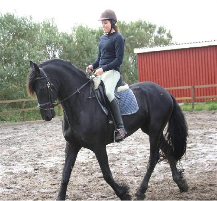 Frieser Dexter af Bjørnskov - Mig og dexter :b  billede 4