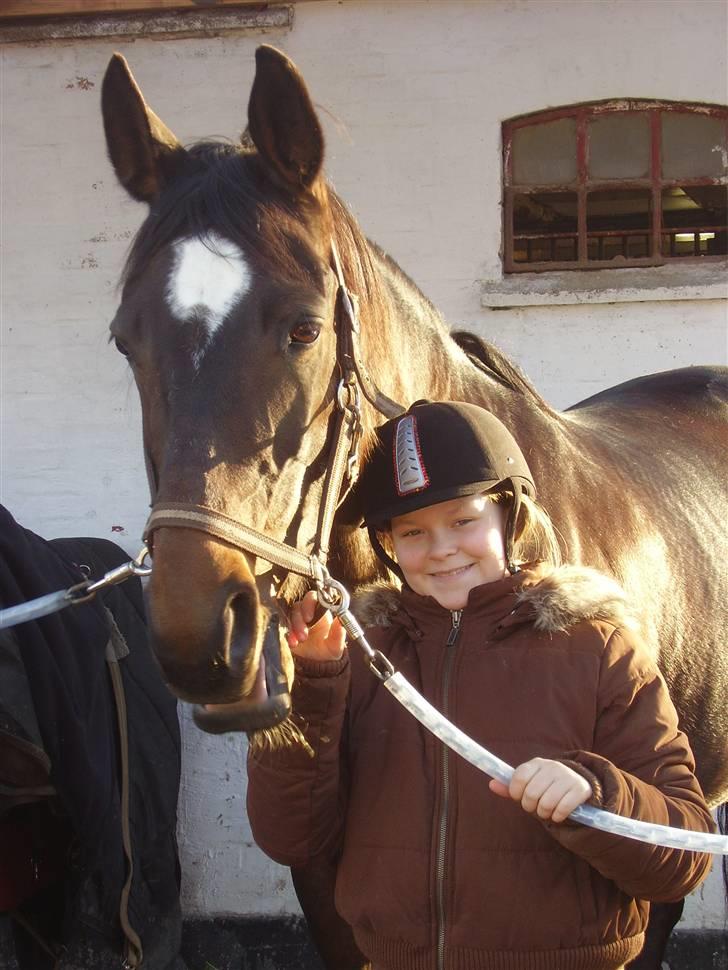 Dansk Varmblod Dia-Lex - Min hest og mig hygger billede 1