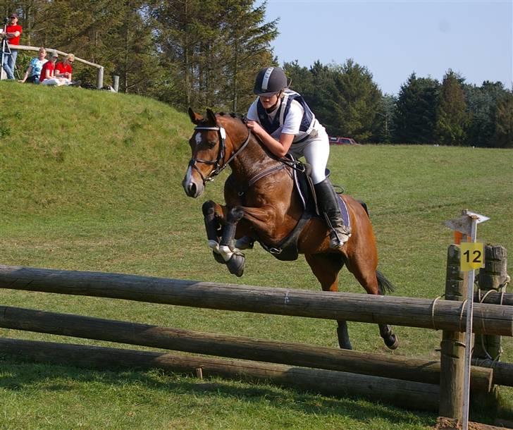 DSP Toftegårdens Alcazar A-po - Maj 2009 - Fjelsted :o) billede 12