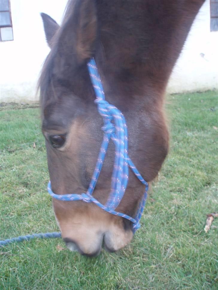 Traver By Densi Print  - D. 6. feb .. billede 11