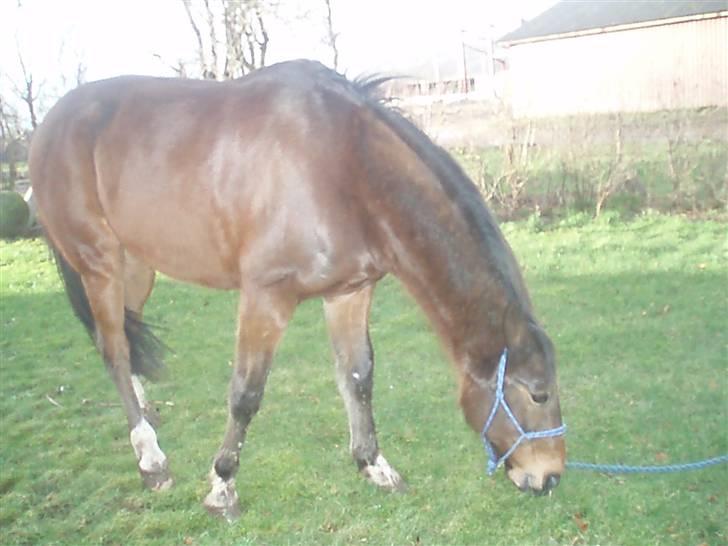 Traver By Densi Print  - Igen billede 12