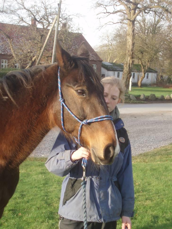 Traver By Densi Print  - By Densi 6. feb billede 16