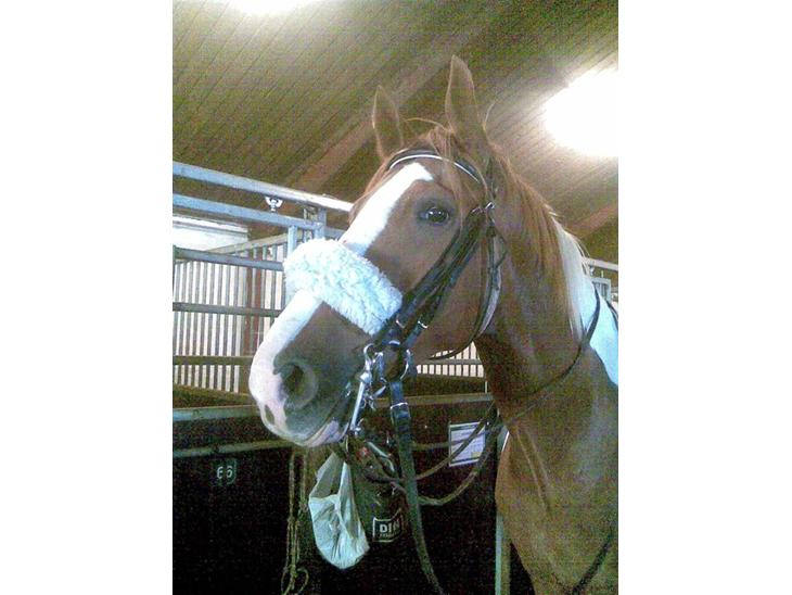 {{currentPhoto.altText}} billede {{currentPhoto.number}}