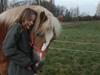 Haflinger Flotti (solgt)