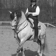 Pura Raza Española Ballesto II