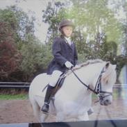 Welsh Pony (sec B) Søborggårds Silver *x-part* <3