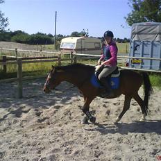 Anden særlig race Forza Maldini (solgt);(;i