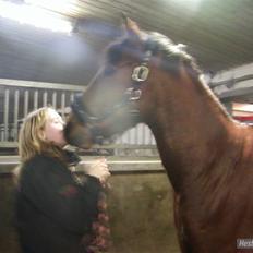 Connemara Felix R.I.P