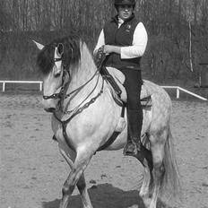 Pura Raza Española Ballesto II