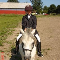 Welsh Pony (sec B) Søborggårds Silver *x-part* <3