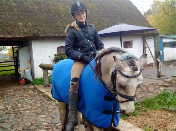 Anden særlig race ~Dirty snowball~ gl. part - skath duh bare helt perfect duh den (s)kønneste pony i verden (taget af Freja) billede 11