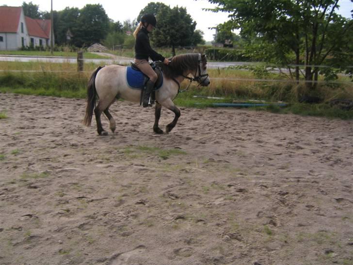 Anden særlig race ~Dirty snowball~ gl. part - vi piaffer :D er han ikk dygtig??  (taget af andrea) billede 13