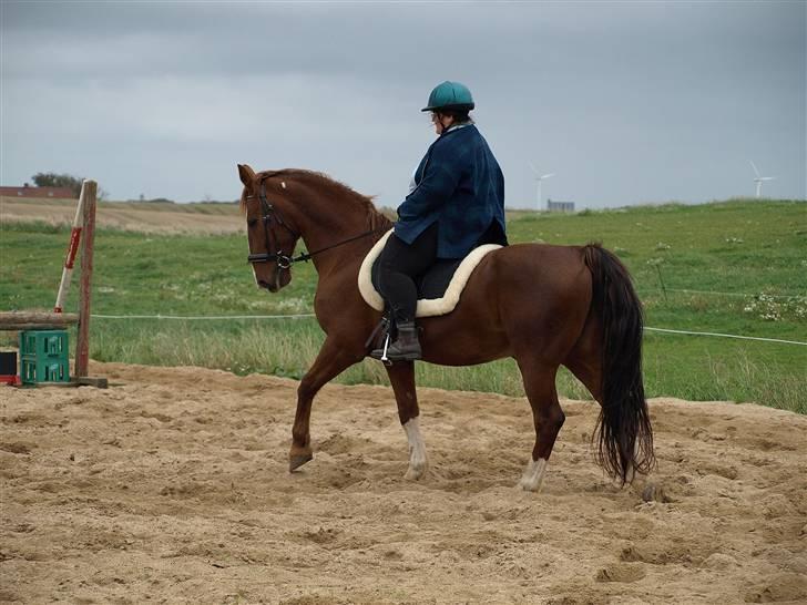 Gelderland Romeo billede 19