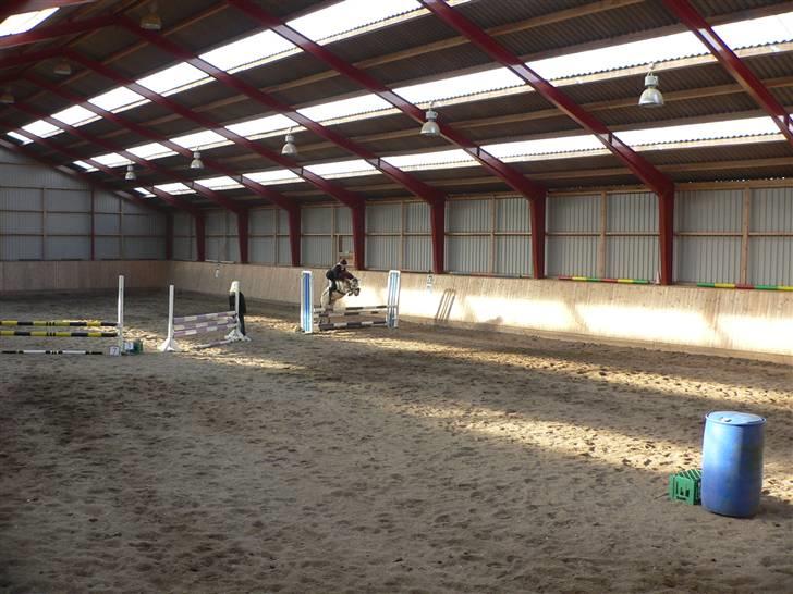 Anden særlig race ~Dirty snowball~ gl. part - se hvor højt han springer over 80 cm o8   (taget af min mor) billede 17