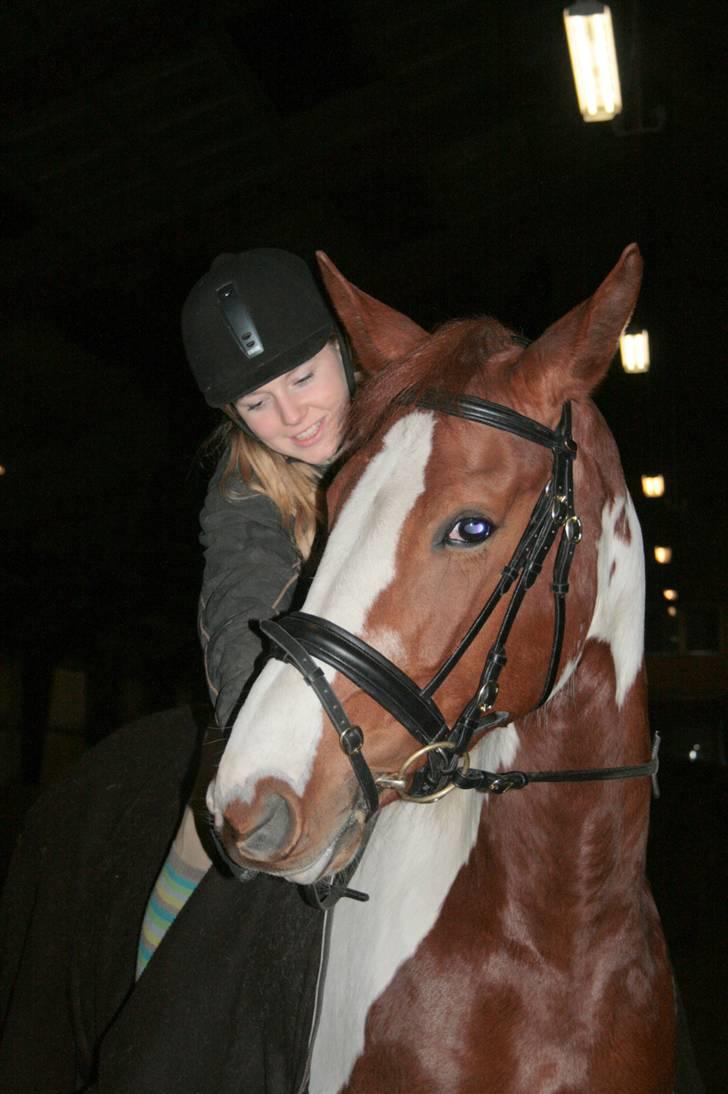 Pinto Shakira - Shakira og mig billede 13