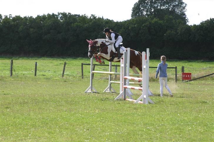 Pinto Shakira - LC spring 13/9-09  Foto: Joan Kvolbæk billede 14