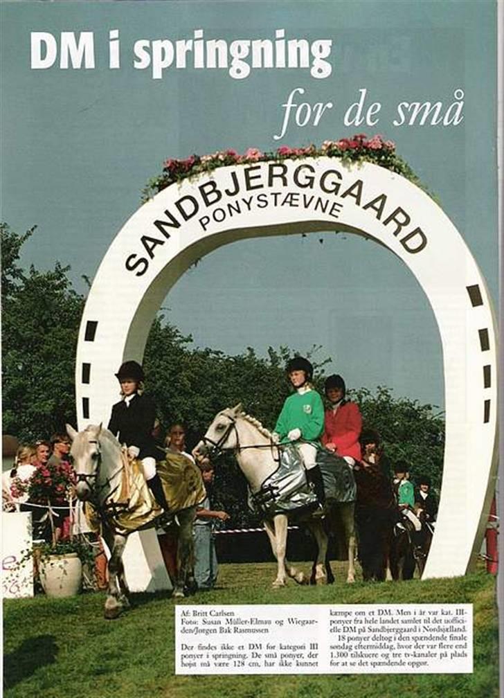 Anden særlig race - Grey Tally Star  - DM´97 MÅ IKKE KOPIERES !!! billede 14