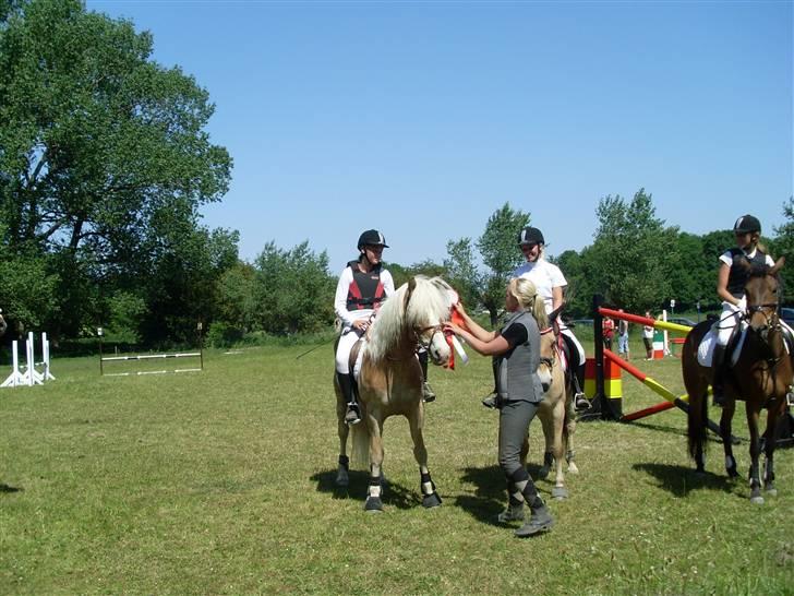 Haflinger Anker Kyhnæb - Vi havde lige vundet holdspringning:D Præmiepony<3 Rikke og Anker. billede 12