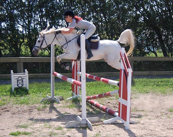 Sportsaraber (A) Jacklyn - lidt hyggespring billede 1