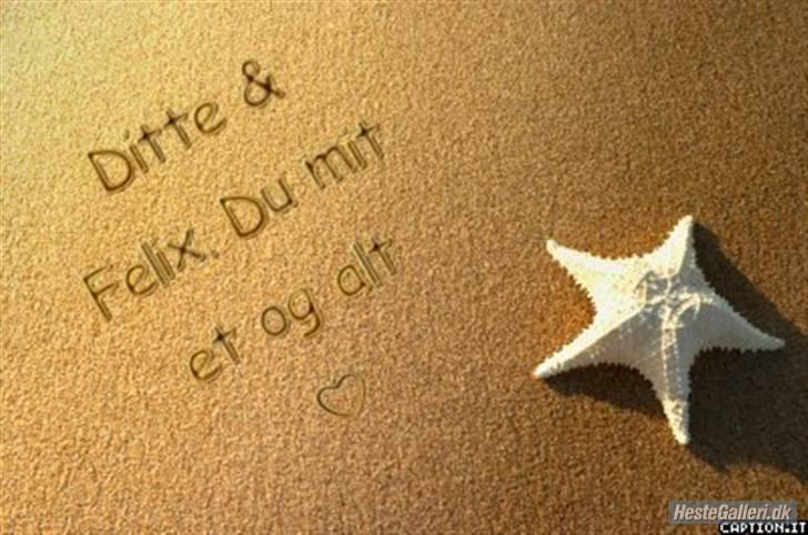 Connemara Felix R.I.P - Jeg elsker dig pony! <3 billede 17