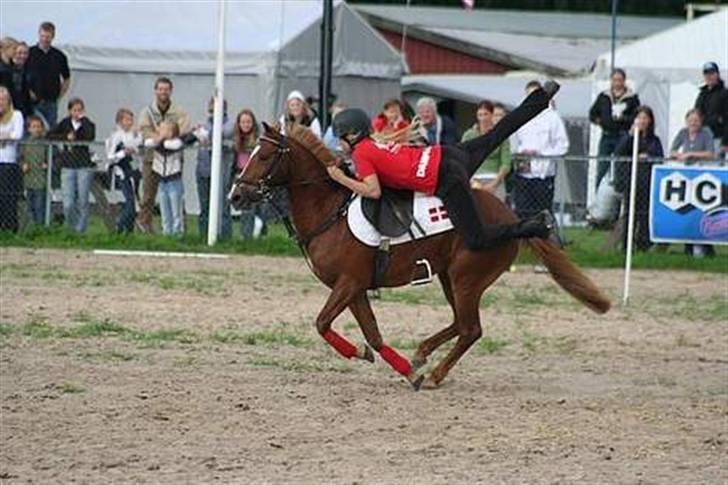 Hollandsk Sportspony Roxanne(Foxy Roxy)solgt billede 18