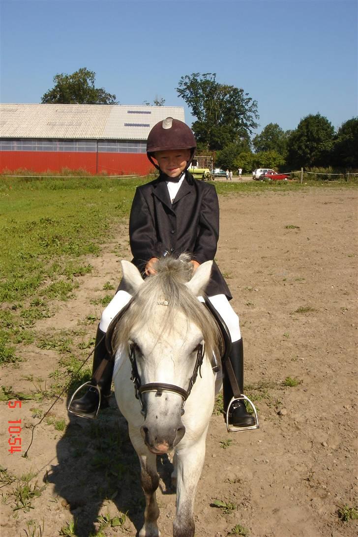 Welsh Pony (sec B) Søborggårds Silver *x-part* <3 - Til militarystævne på Søborggård! xD(Dressur) Var MEGET lille den gang! <3 billede 3