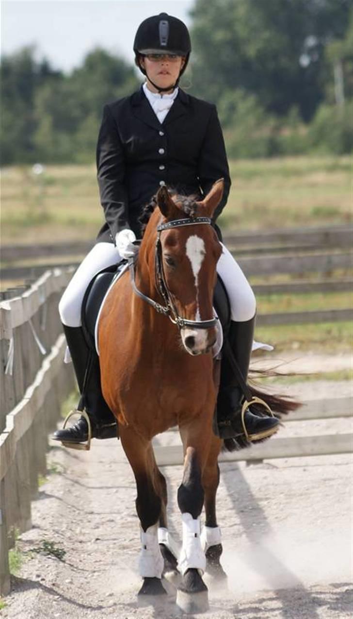 Anden særlig race | Cantos Caballero - 5# Til stævne på ØSR d.23 August - LC1 til 67% Og en Tredjeplads WEE! :D Foto: Emilie/Bumzen billede 6