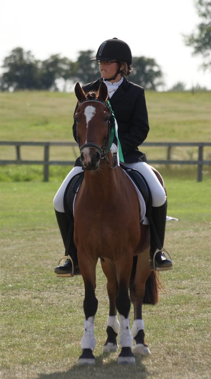 Anden særlig race | Cantos Caballero - 9# ØSR d.23 August :D Nummer 3 til klubmesterskabet - LC1 til 67% 8D Foto: Emilie/Bumzen billede 10