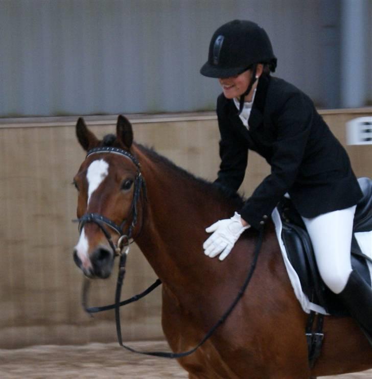 Anden særlig race | Cantos Caballero - 11# Stolt rytter! Stævne på SRK LC1, til 1 plads. Maj 09 - Foto: Emilie(Bumzen) billede 12