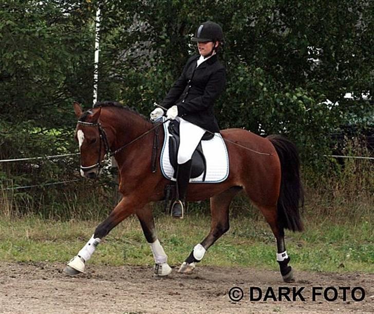 Anden særlig race | Cantos Caballero - 12# Stævne KØR 13 sep. 09 - Opvarmning til LC3, hvor vi gik ind og red til 64% :O<3 Foto: Mie/DARK-foto(Har fået tilladelse til at "tag" billedet!) SORRY kvaliteten :/ billede 1