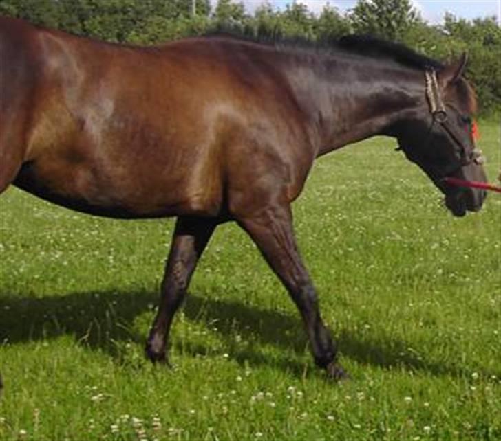 Anden særlig race Dusi<3  billede 12