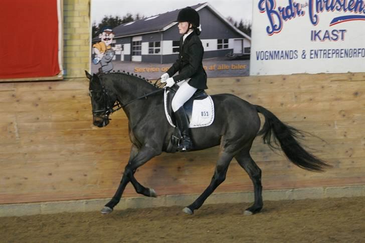 DSP Kildegårdens Pigall - Championatsfinalerne 2007 billede 16