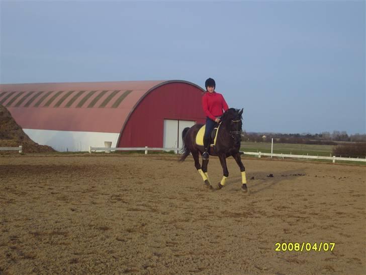 Anden særlig race Litus - Mig og pony dyret billede 15