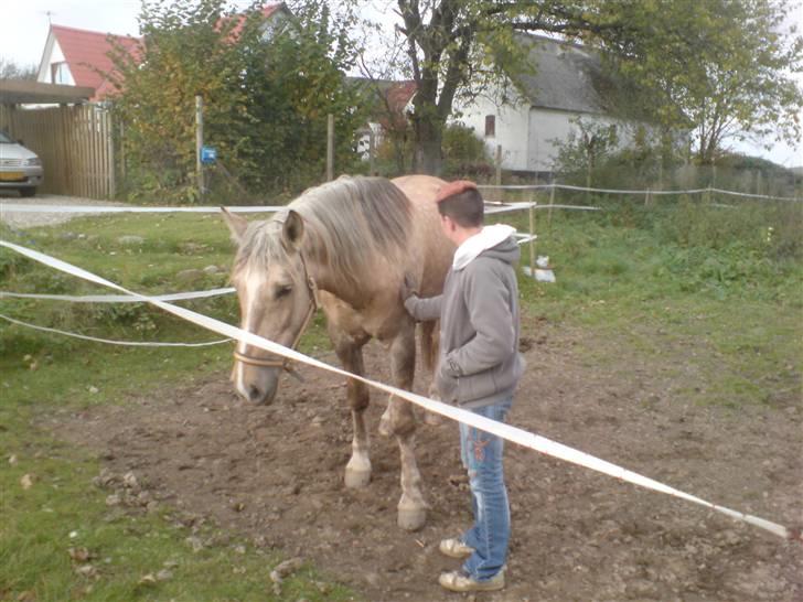 Anden særlig race Smukke Zally - Zally og mig kort for jeg sagde farvel til dejlige prinsesse billede 11