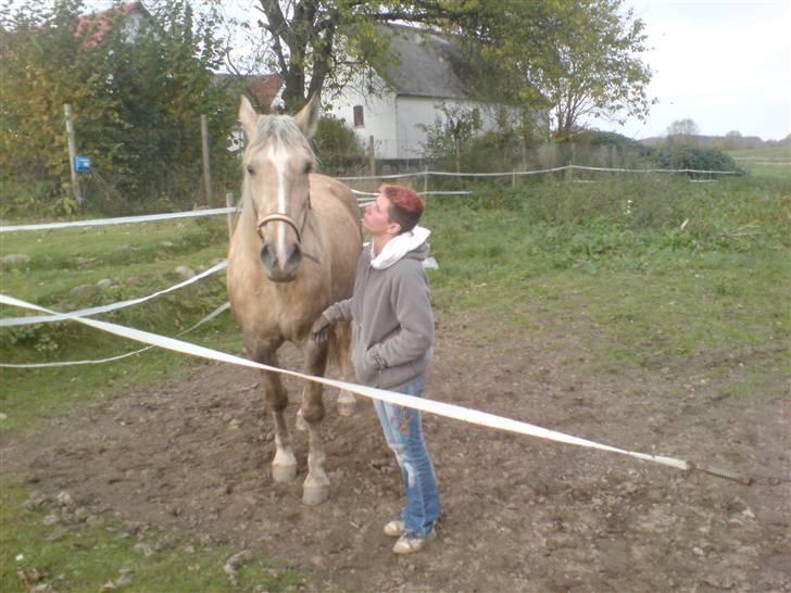 Anden særlig race Smukke Zally - Jeg vil aldrig glemme dig Zally... Jeg kan se dig i mine dromme lobe pa sletterne... billede 12
