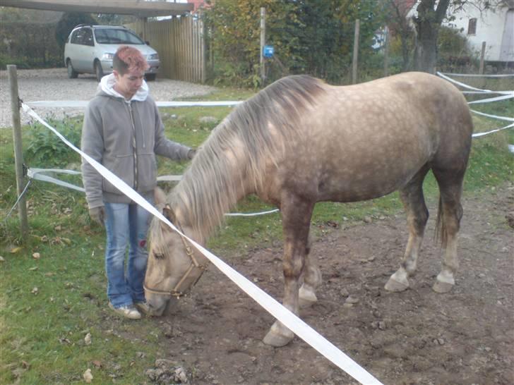 Anden særlig race Smukke Zally billede 13