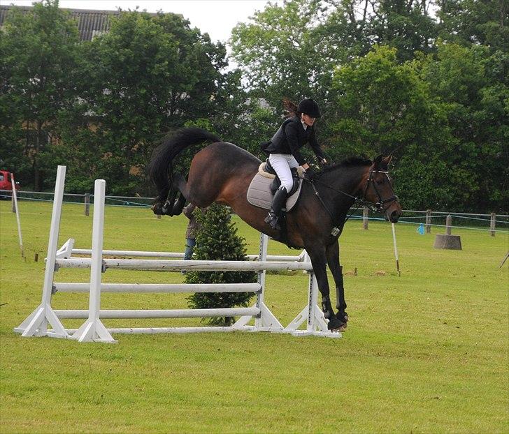 Dansk Varmblod Olympia - Første stævne for hende og mit første hestestævne! SHR 2011. Nulrunde i ULC. LÆKRE BAGBEN :) billede 19