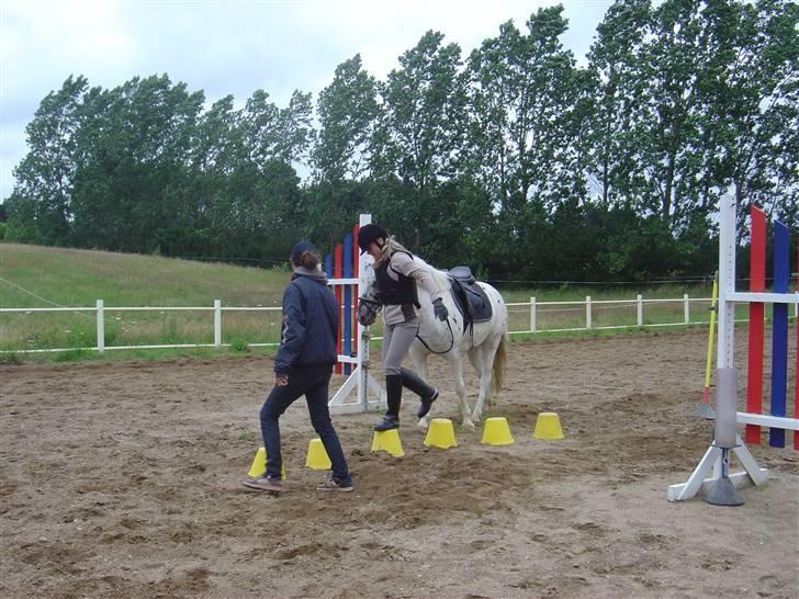 Knabstrupper Gaja  - Her øves der igen ponygames billede 11