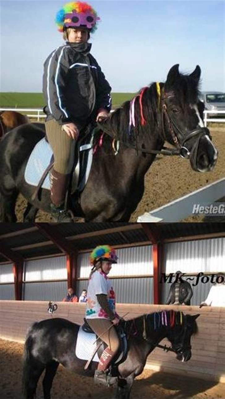 DSP Ca-pia *Død* <3 - Til fastelavnsstævnet ( var klædt ud som puslespil) billede 16