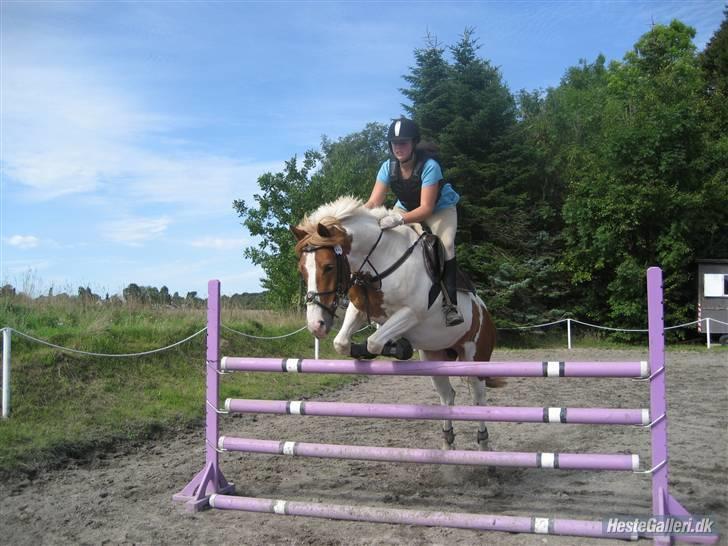 Pinto holger SOLGT ;( - 110 cm :D billede 11
