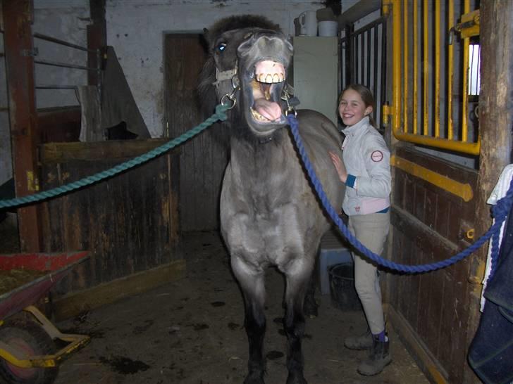 Anden særlig race apollon (solgt) - Gabb!  08 billede 8