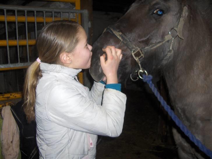 Anden særlig race apollon (solgt) - Kysser<3..   Add! Jeg hader når hun kysser miig. 08 billede 9